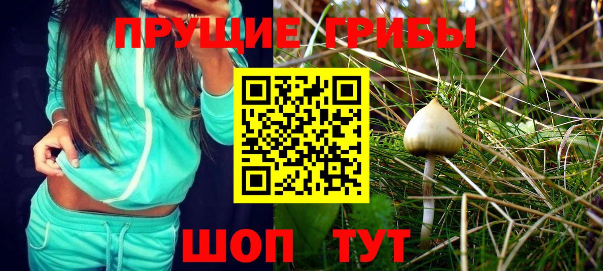 Псилоцибиновые грибы Magic Shrooms  Псилоцибиновые грибы Magic Shrooms  Урюпинск  Вход с VPN 